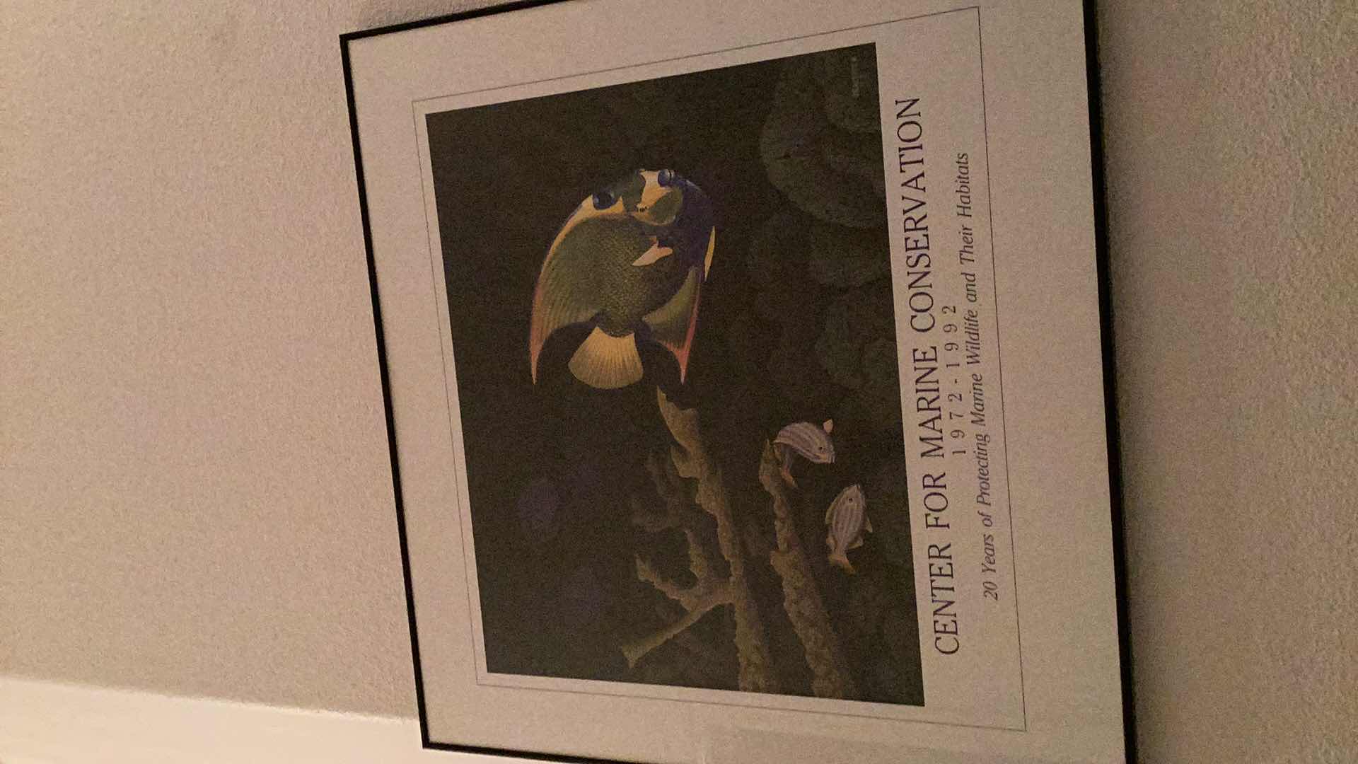 Photo 1 of CENTER FOR MARINE CONSERVATION 20 YEAR ANNIVERSARY FRAMED PRINT 26x25