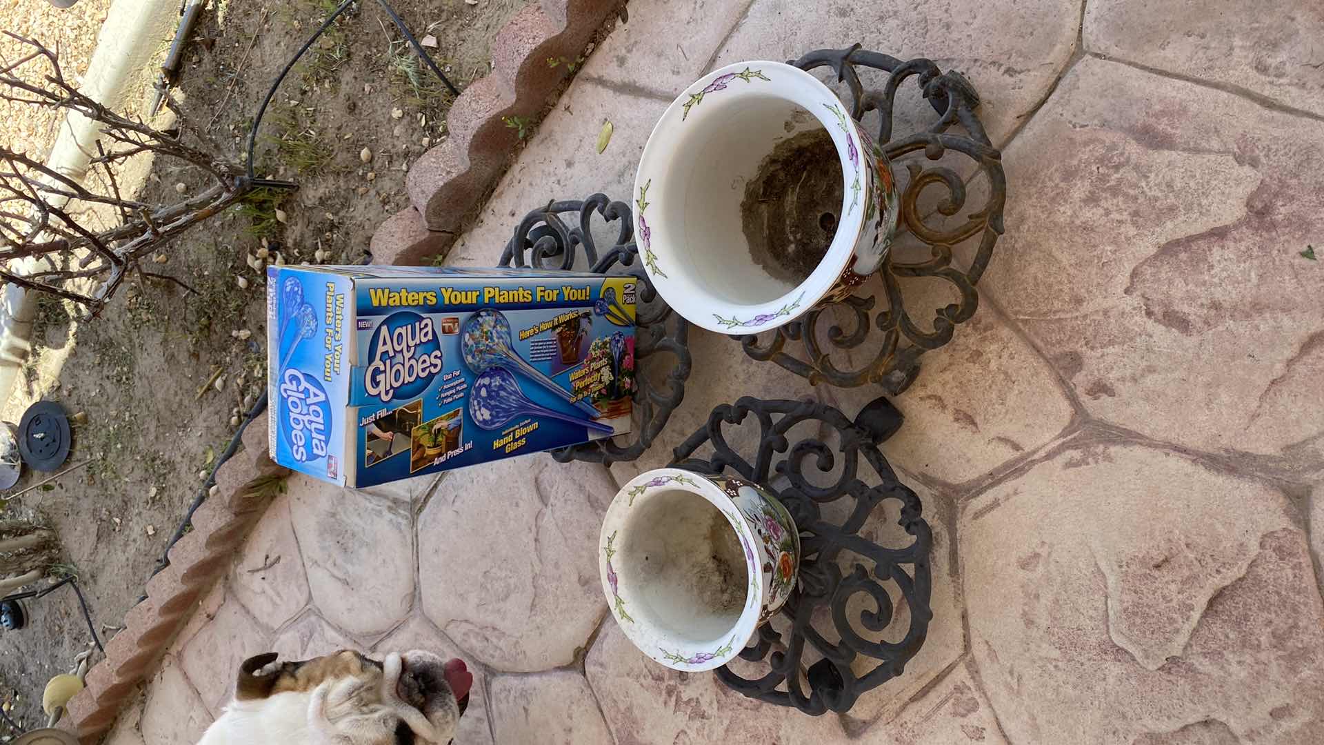 Photo 1 of 3 ROLLING PLANT HOLDERS POTS AND AQUA GLOBES