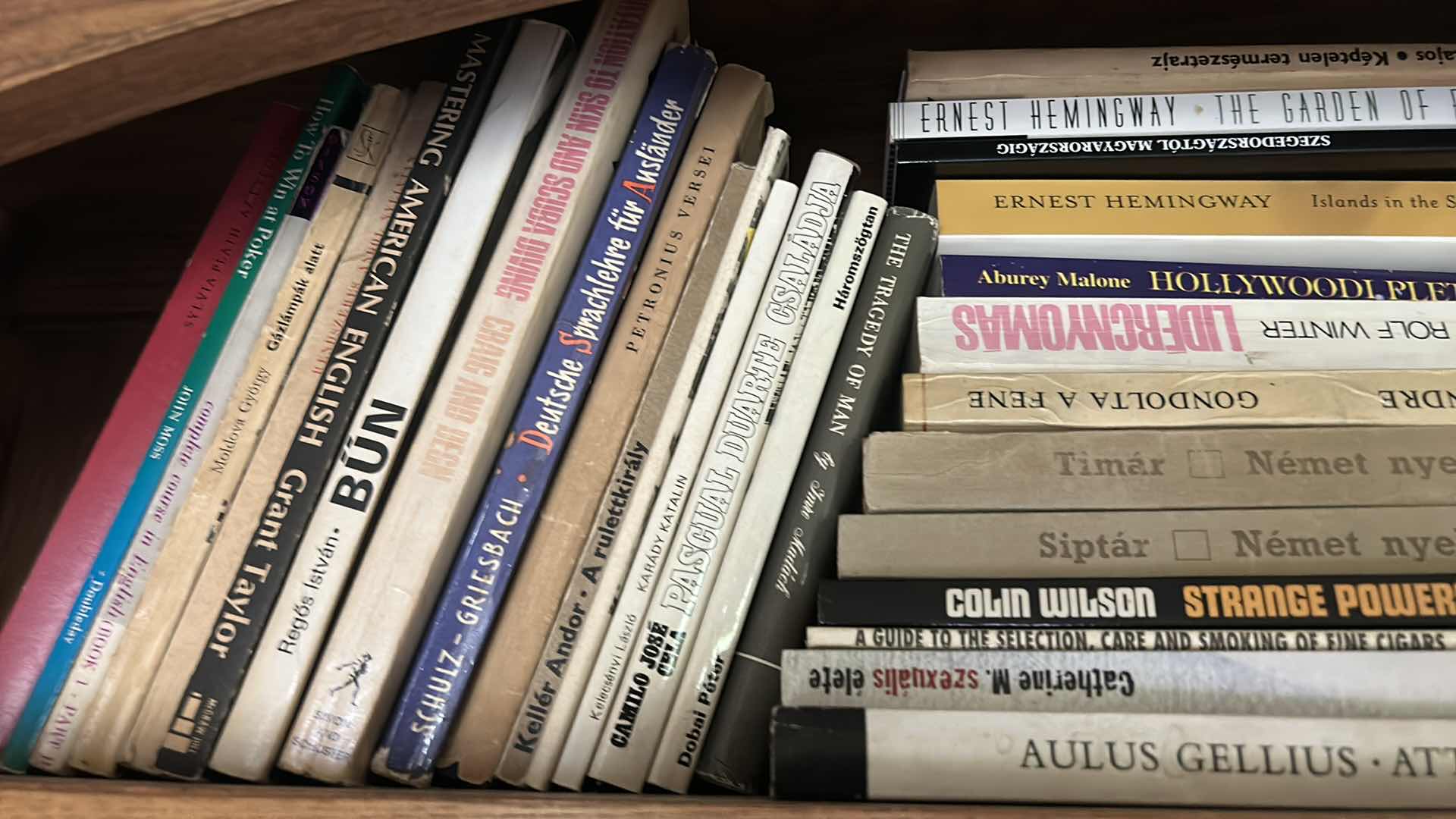 Photo 1 of TWO SHELVES OF BOOKS