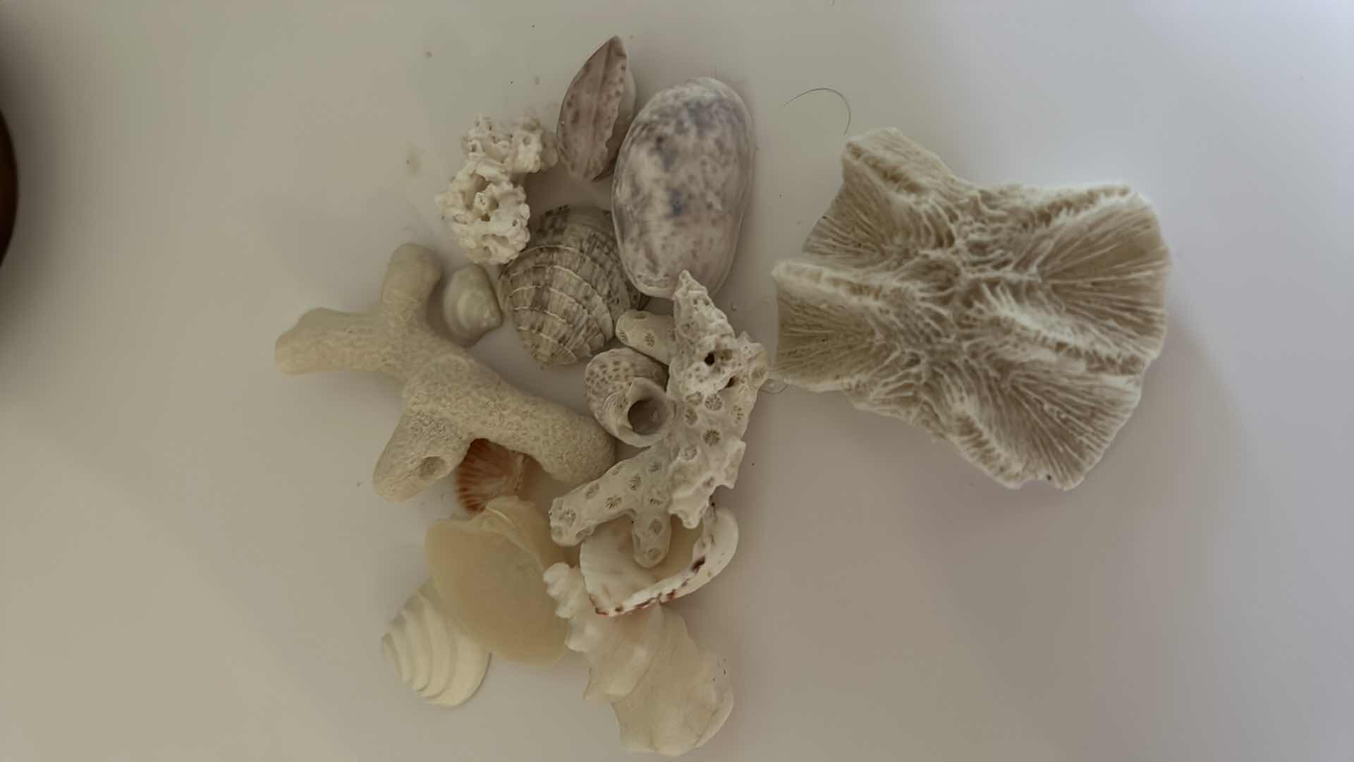 Photo 1 of 4 PIECE MINI COLLECTIBLES