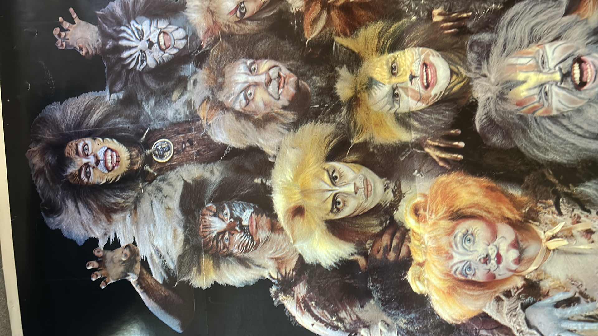 Photo 1 of CATS CANVAS POSTER 41” x 82.5”