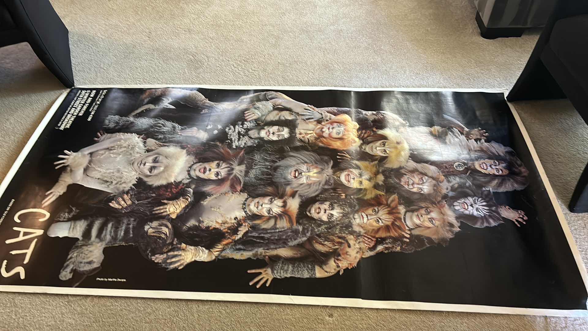 Photo 1 of CATS CANVAS POSTER 41” x 82.5”