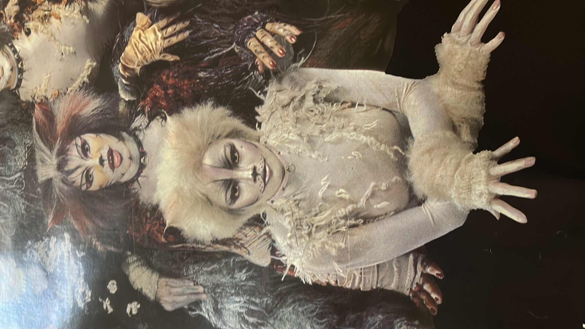 Photo 1 of CATS CANVAS POSTER 41” x 82.5”