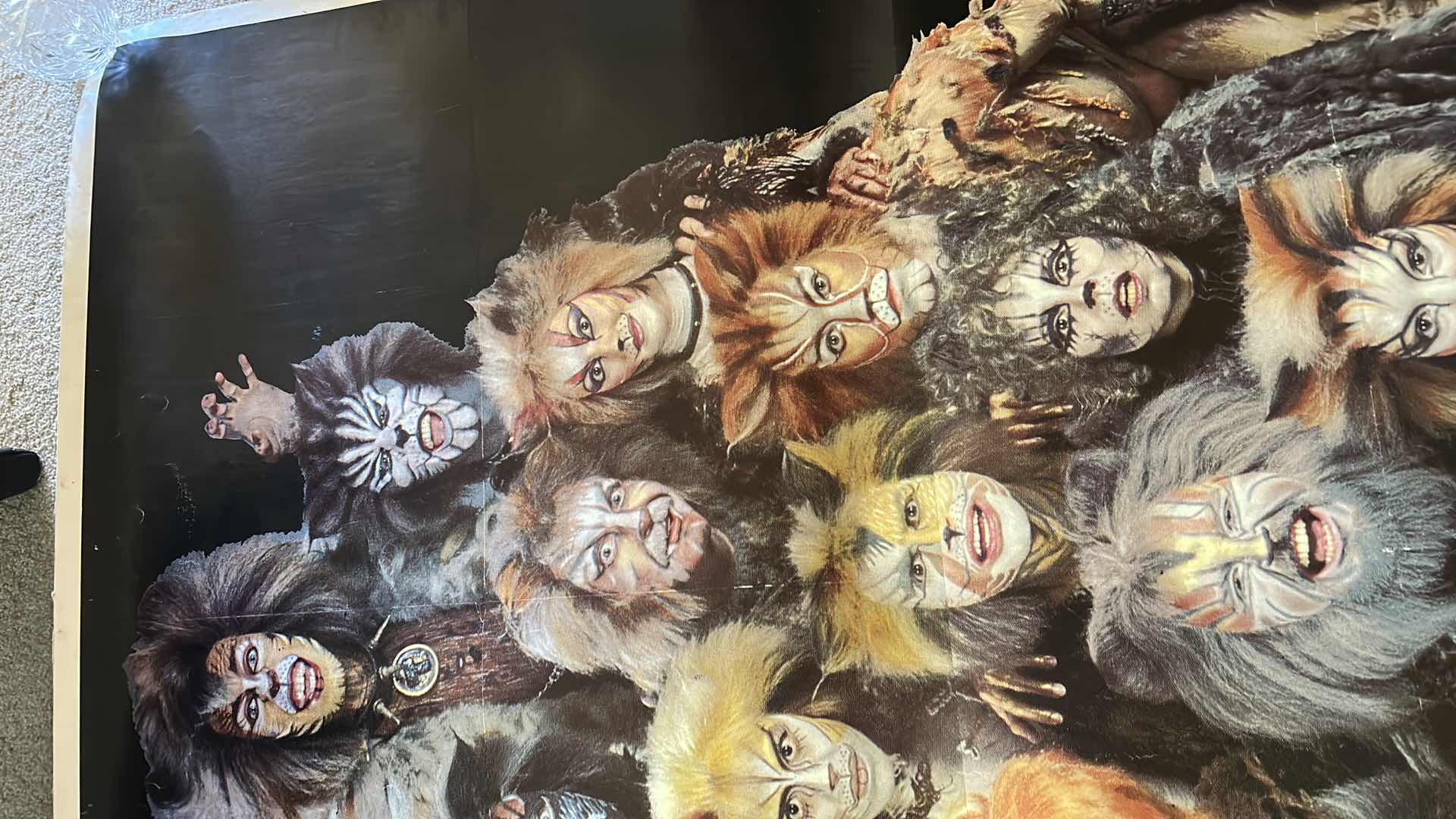 Photo 1 of CATS CANVAS POSTER 41” x 82.5”