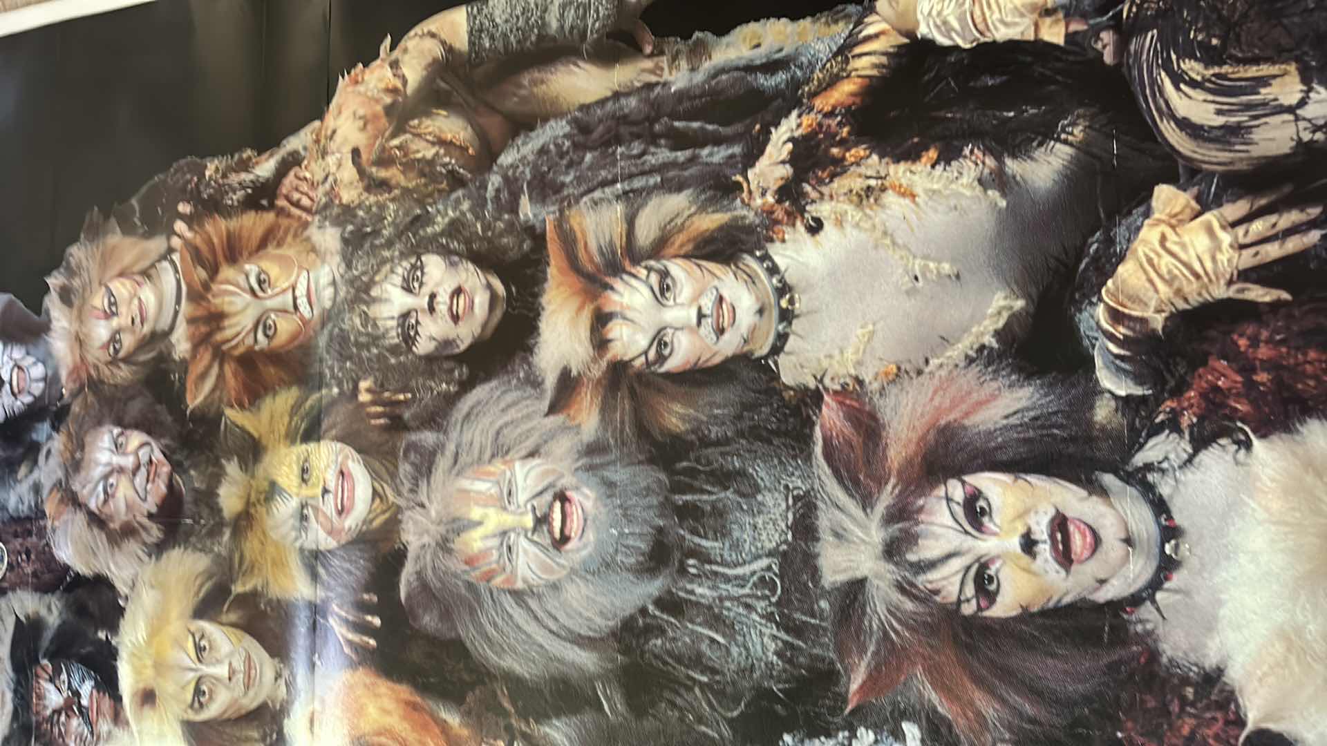 Photo 1 of CATS CANVAS POSTER 41” x 82.5”