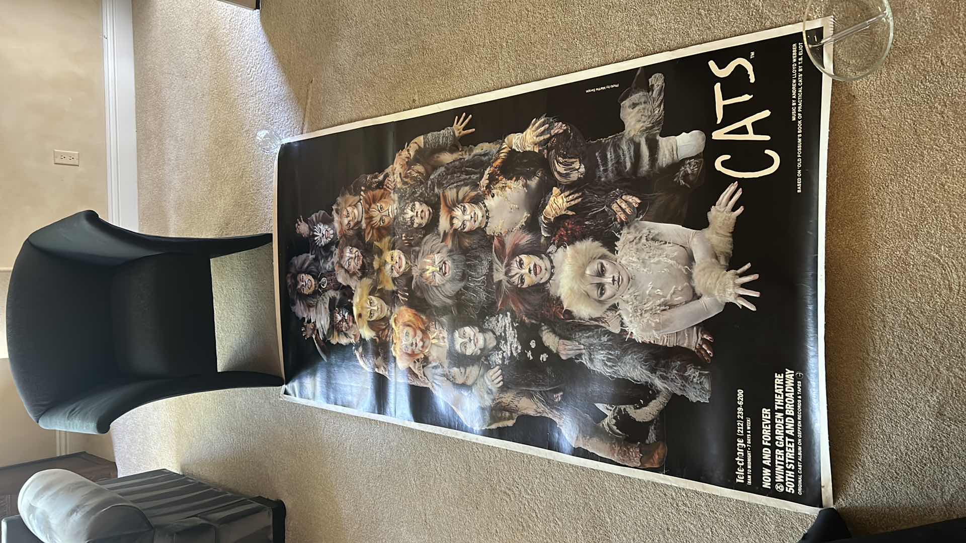 Photo 1 of CATS CANVAS POSTER 41” x 82.5”