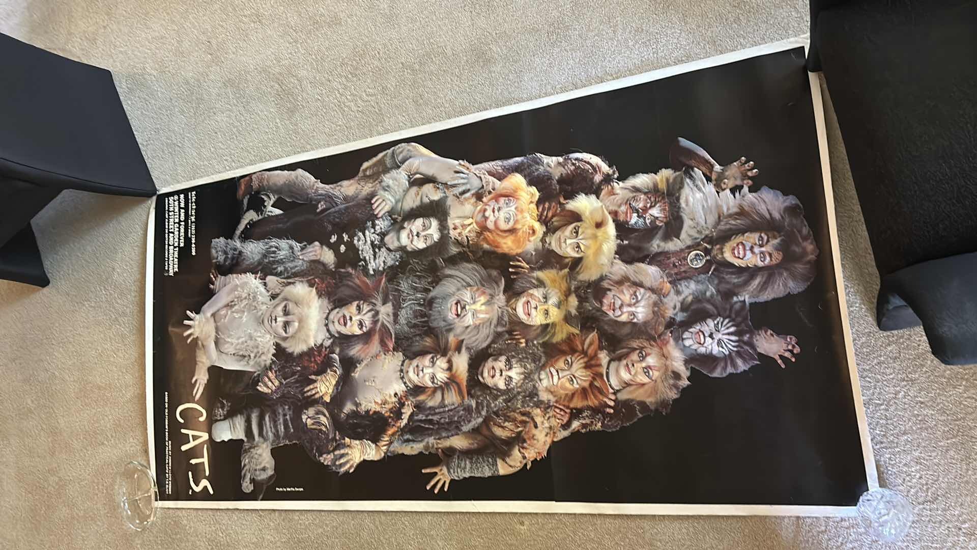 Photo 1 of CATS CANVAS POSTER 41” x 82.5”