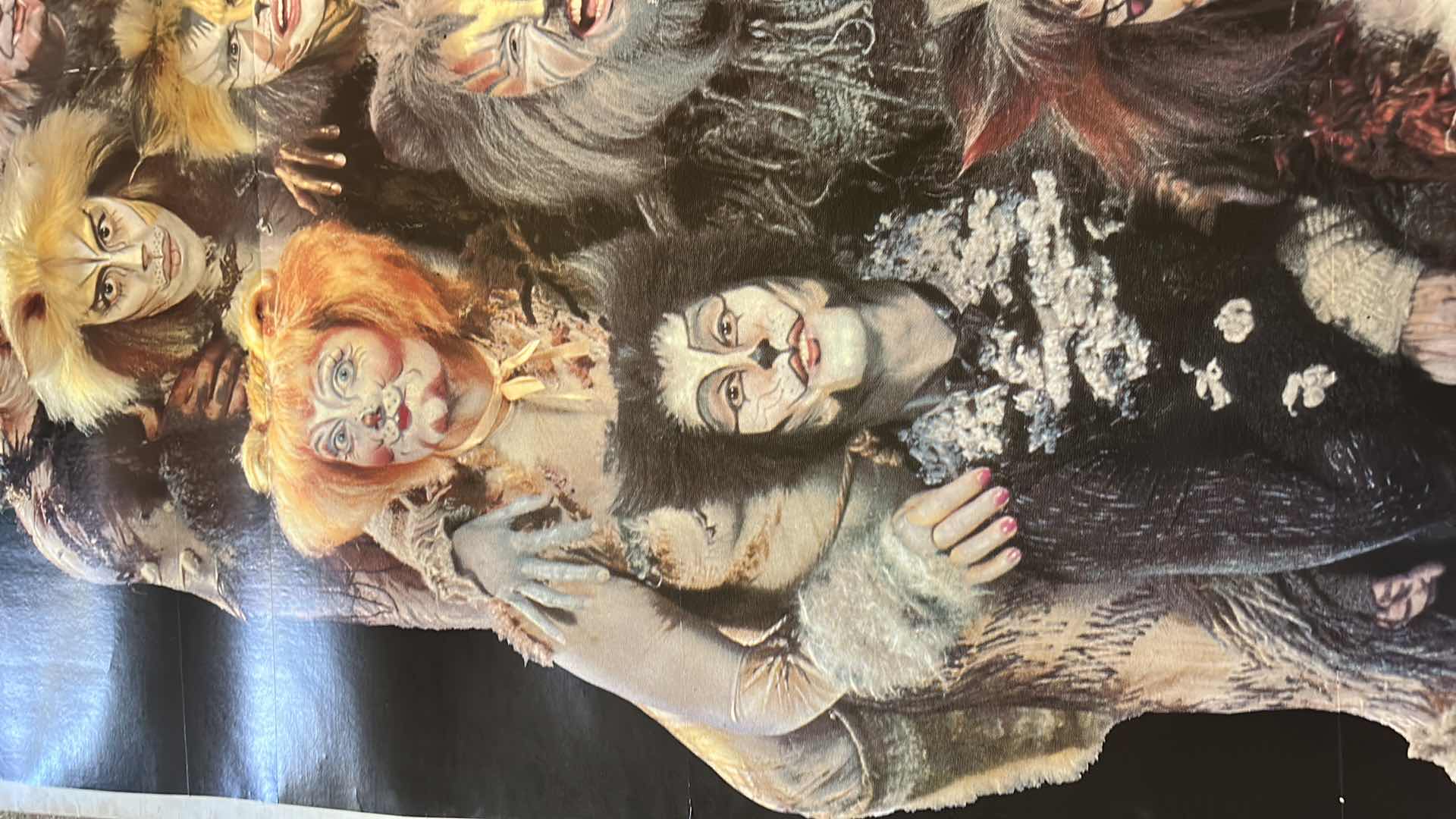 Photo 1 of CATS CANVAS POSTER 41” x 82.5”