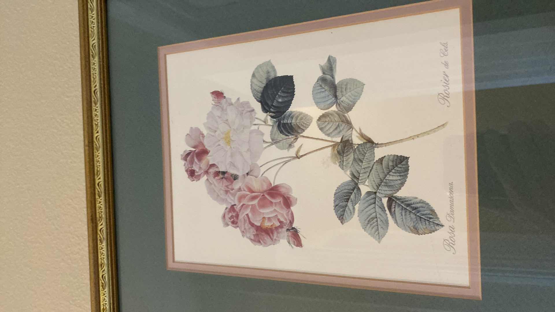 Photo 1 of GOLD FRAMED ROSES 13” X 15”