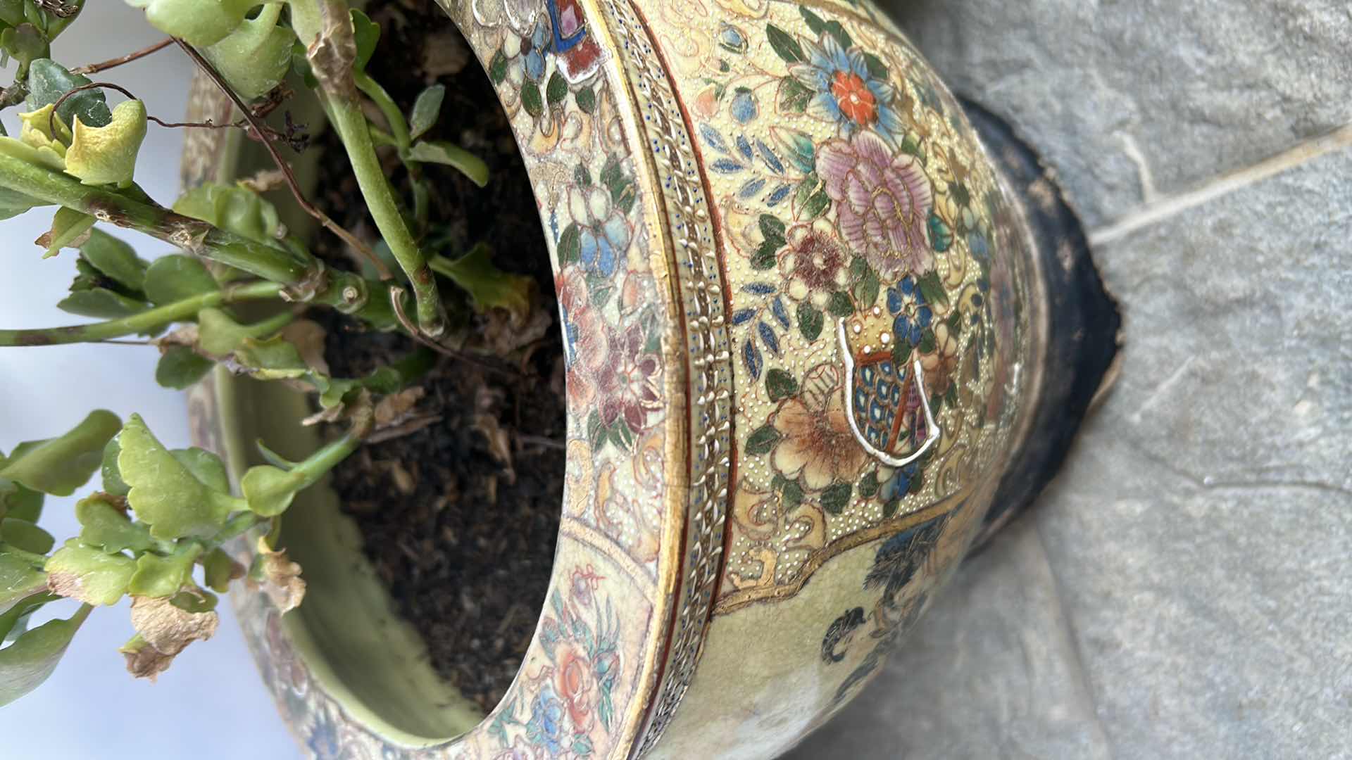 Photo 1 of TWO LIVE PLANTS IN PORCELAIN POTTERY W STANDS TALLEST H8”