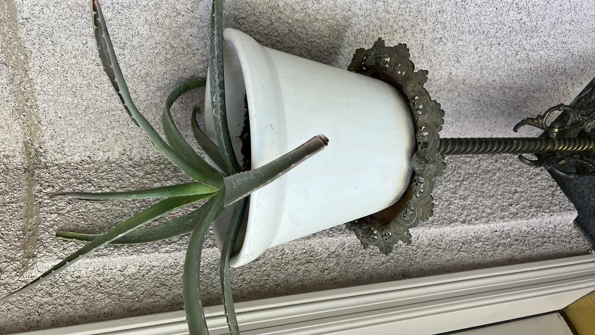 Photo 1 of VINTAGE METAL PLANT STAND WITH POTTED PLANT, (STAND H32”)