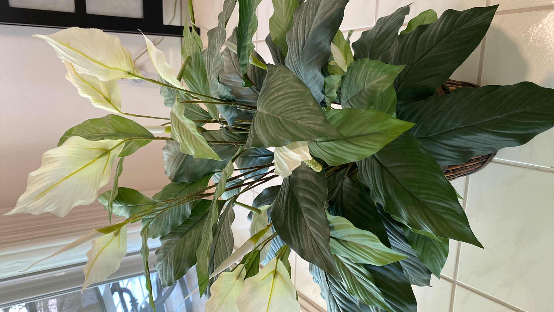 Photo 1 of FAUX PRAYER PLANT IN WICKER BASKET H 35”