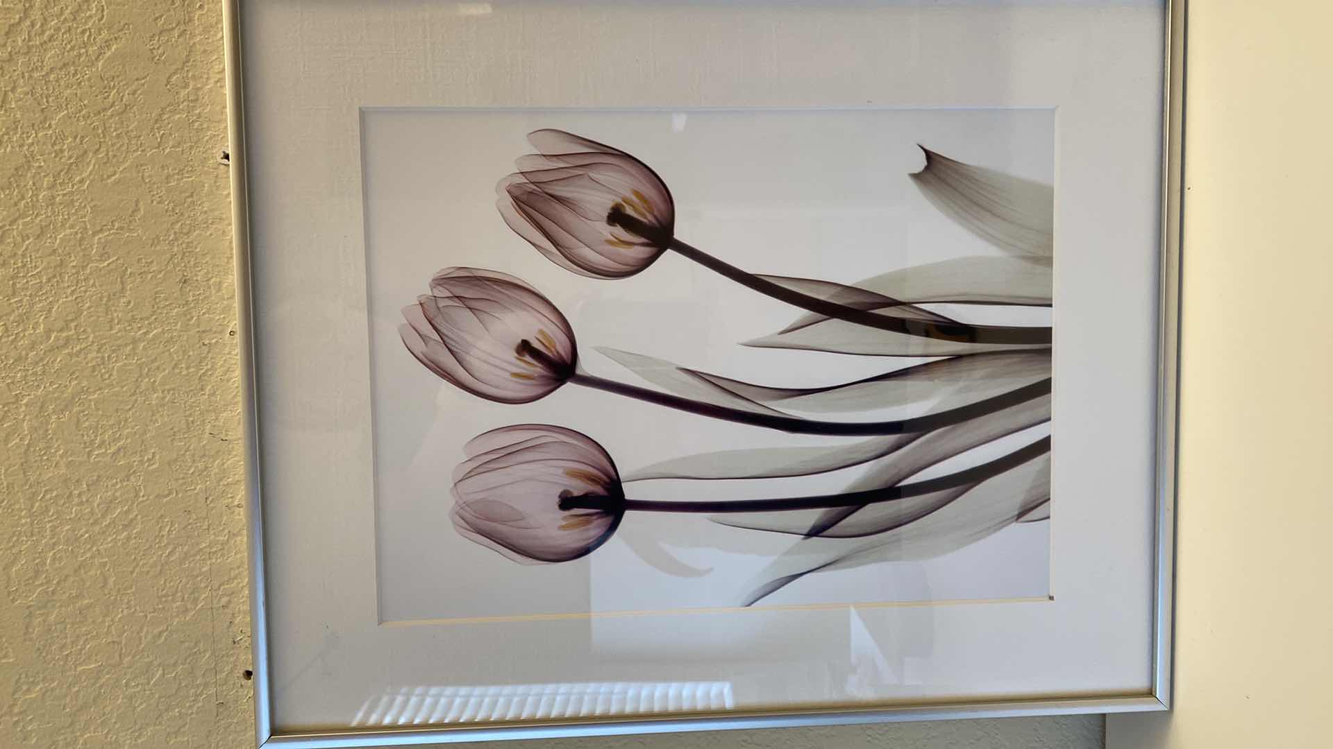 Photo 1 of 4 METAL FRAMED SIGNED FLORAL ARTWORK LARGEST 16”X 20”
