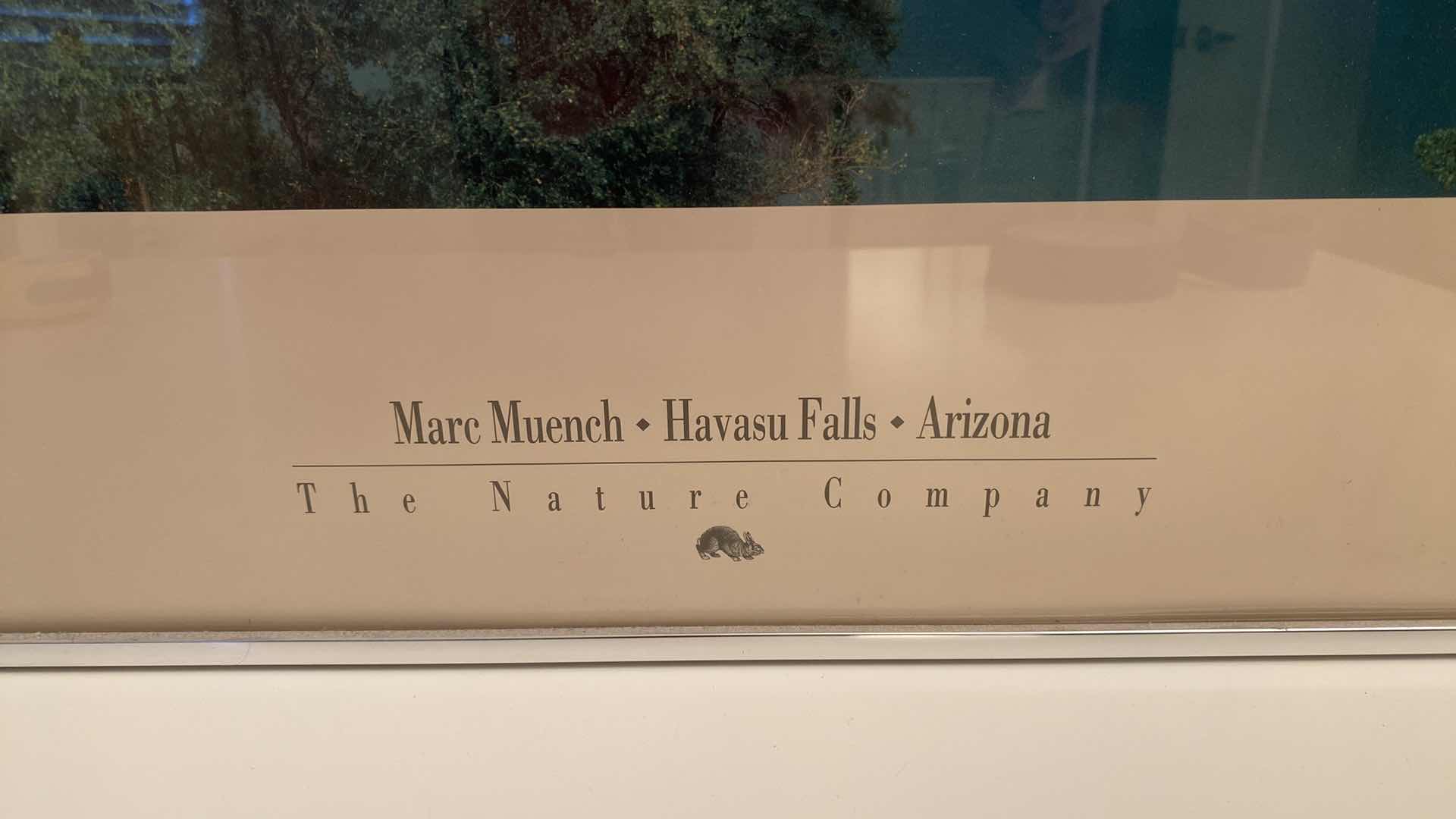 Photo 1 of METAL FRAMED HAVASU FALLS AZ ART 24” X 34”