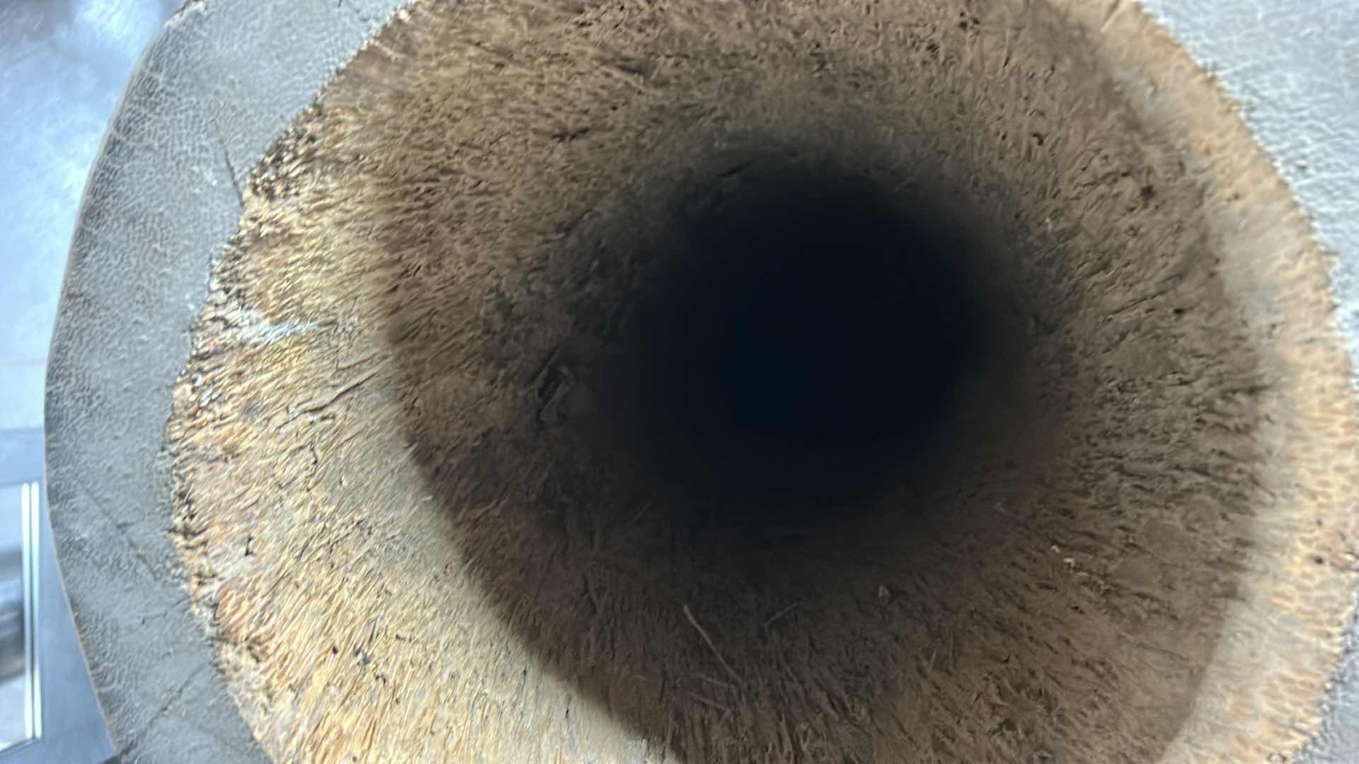 Photo 1 of HUGE (HOLLOWED OUT FROM TOP TO BOTTOM) PALM WOOD TREE  VASE 31” x 81”