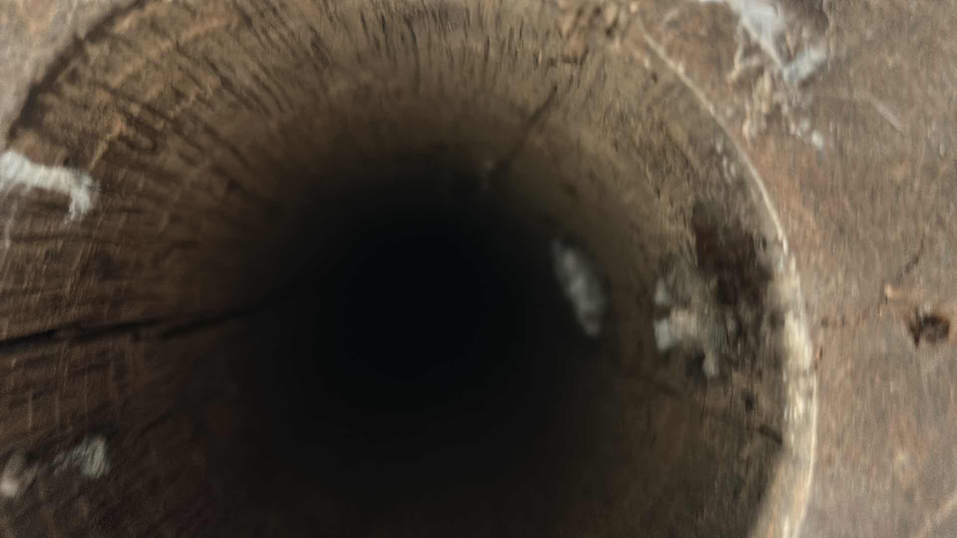 Photo 1 of HOLLOWED OUT TREE TRUNK H8’ 3”