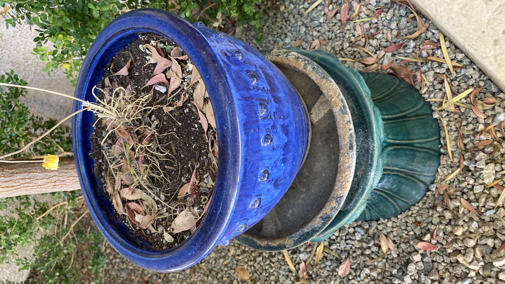 Photo 1 of CERAMICS POT ON PLANT STAND HEIGHT WITH POT 23”
