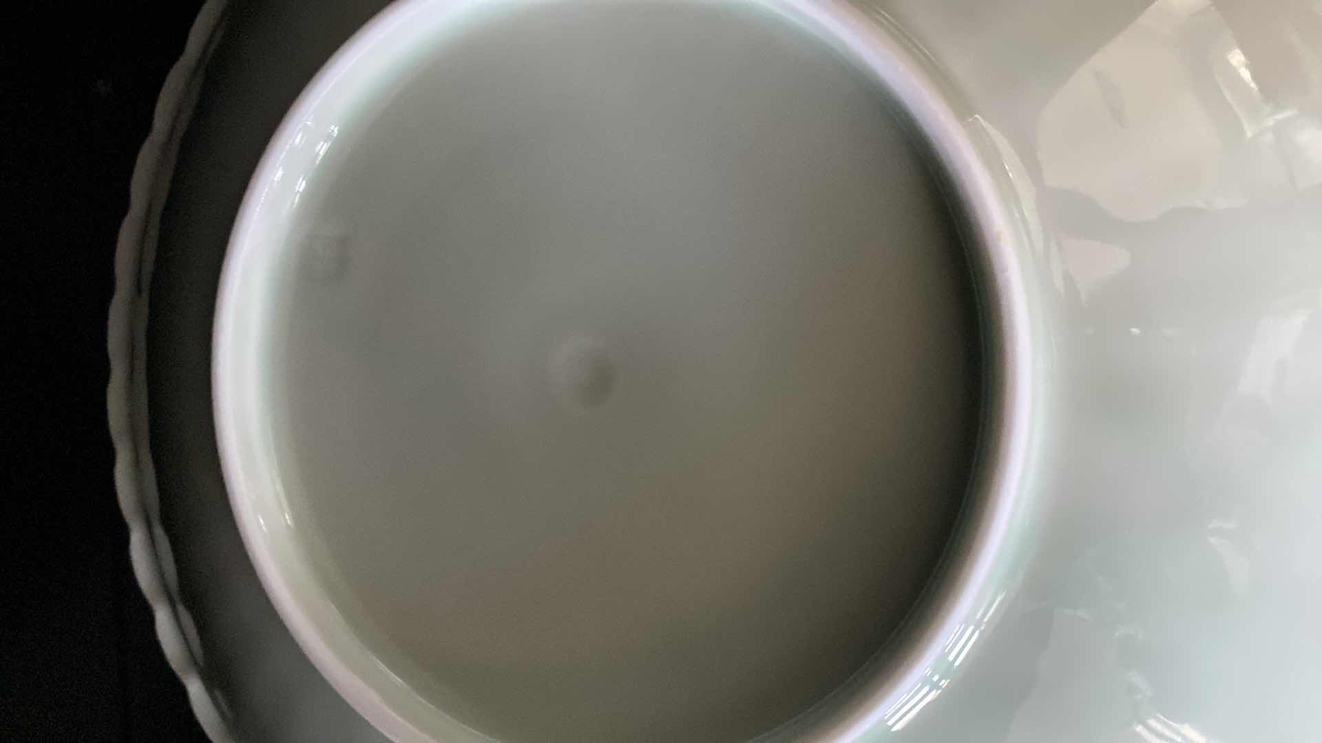 Photo 1 of 18 PIECE LUNCHEON SET LIGHT GREEN