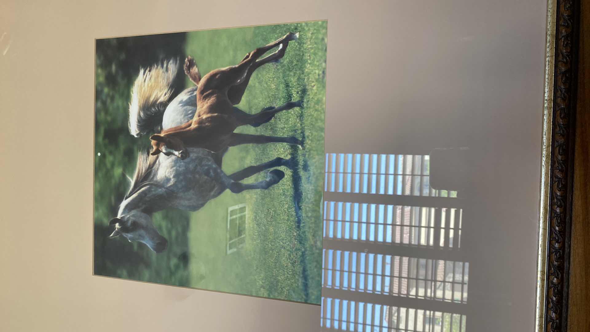 Photo 1 of FRAMED AND MATTED HORSE PHOTO ARTWORK 32“ x 32”