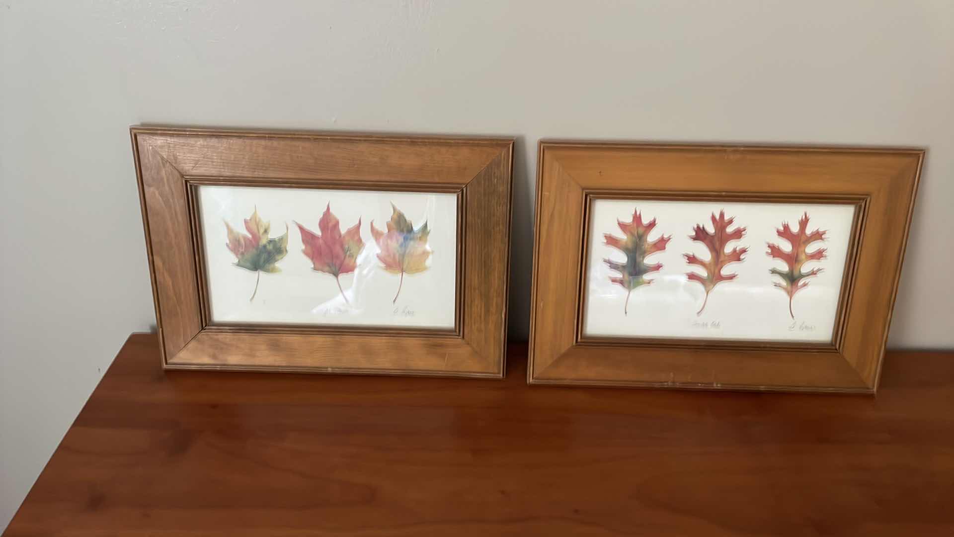 Photo 1 of FRAMED “SUGAR MAPLE AND “SCARLET OAK” B. PAPAIS 16”x12”H