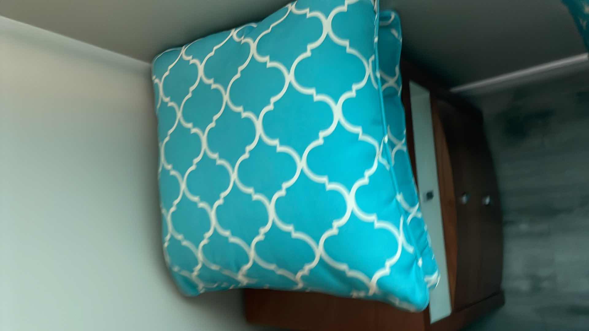 Photo 1 of CURTAINS 50”x 70” AND DECORATIVE PILLOWS 20”x 20”