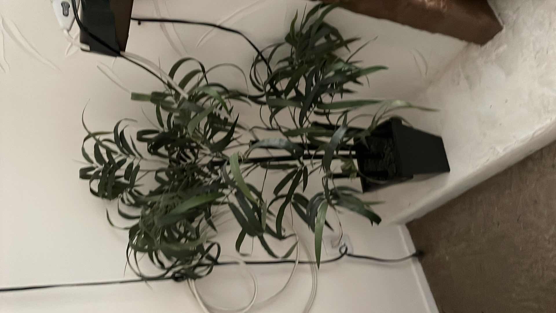 Photo 1 of FAUX BAMBOO TREE 4ft