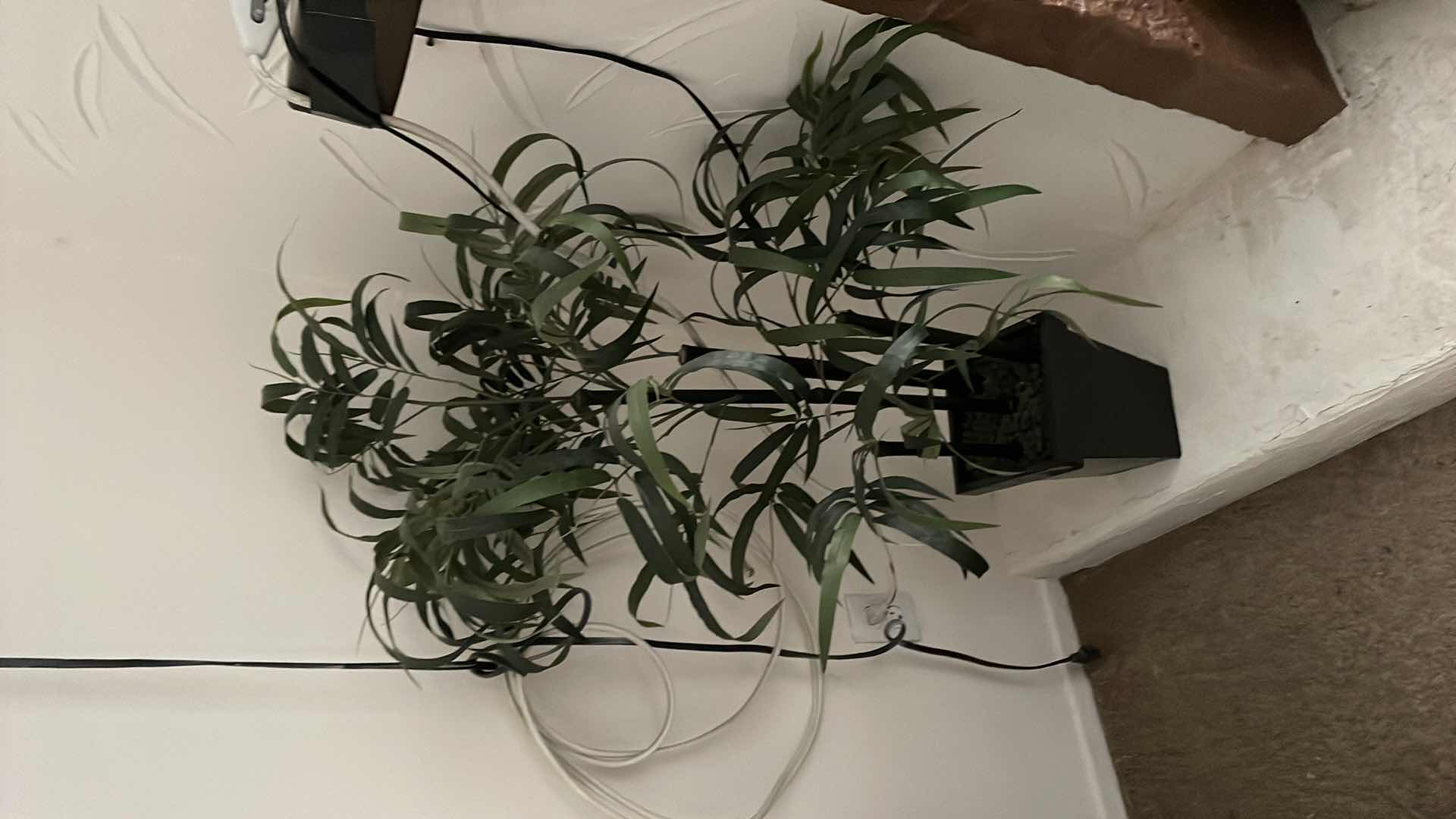 Photo 1 of FAUX BAMBOO TREE 4ft