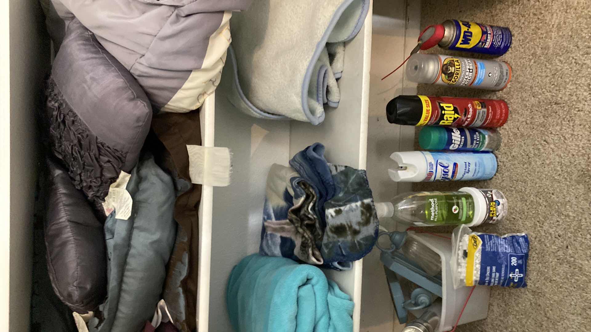 Photo 1 of CONTENTS OF UPSTAIRS  HALL CLOSET