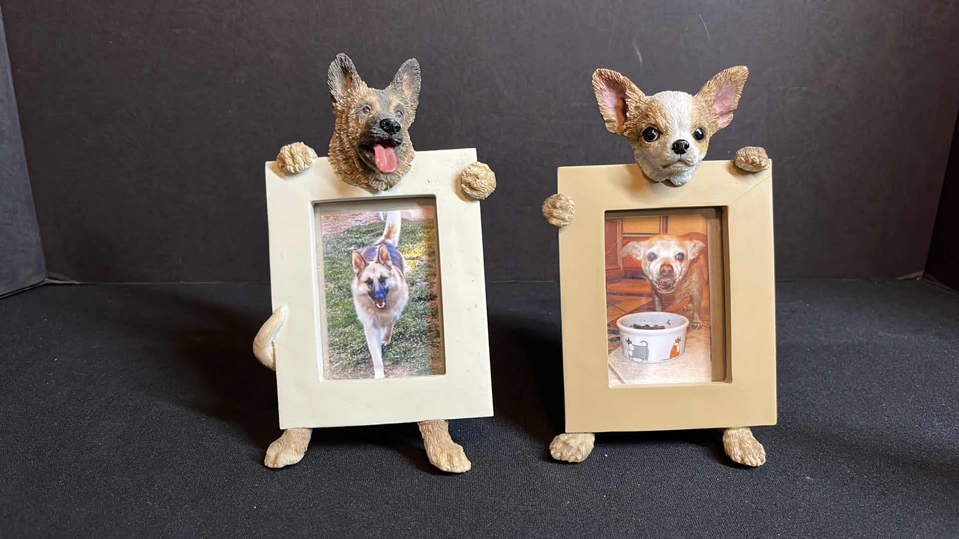 Photo 6 of DOG DECOR 6-PCS