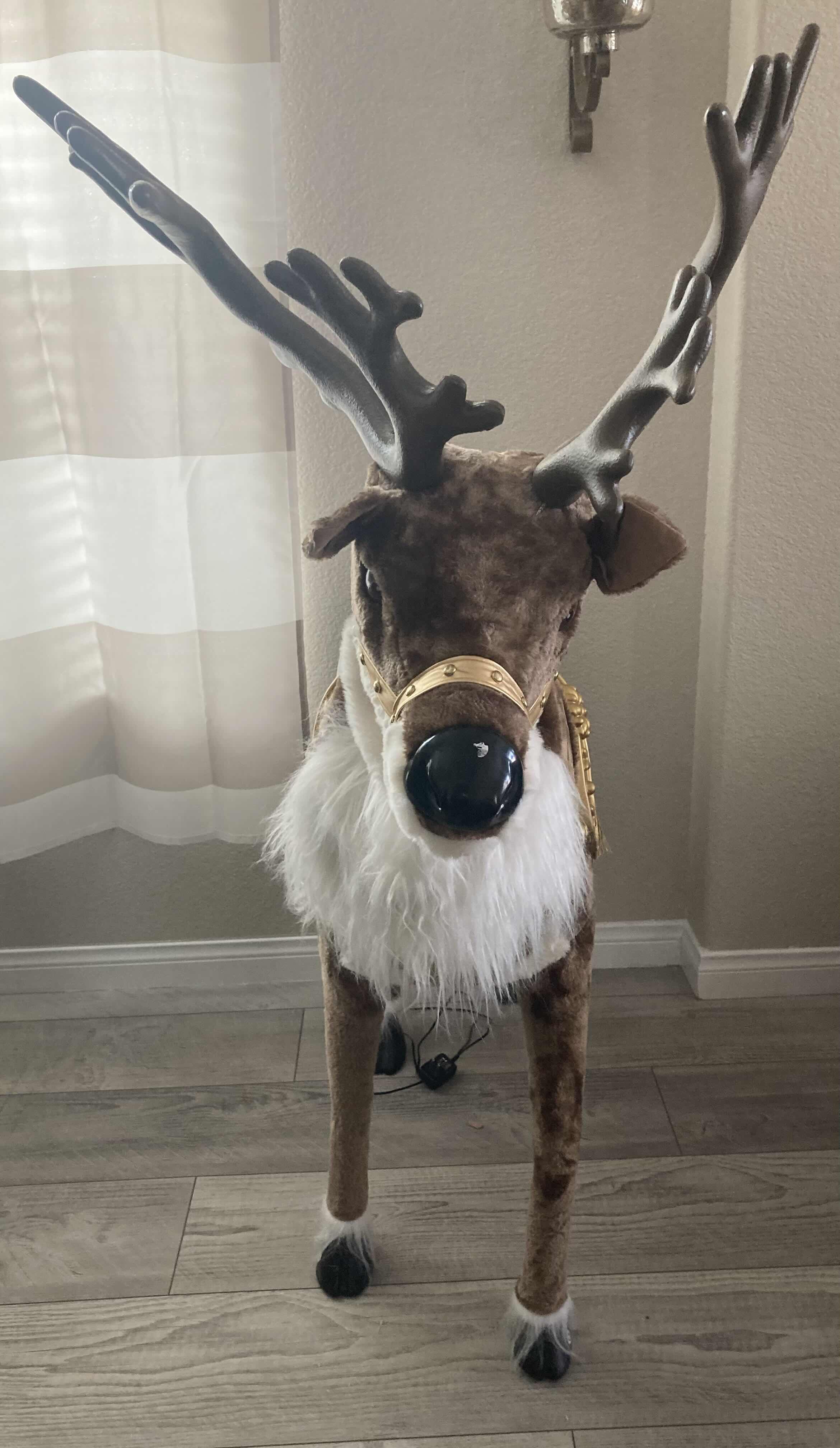Photo 1 of HOME ACCENTS HOLIDAY CHRISTMAS ANIMATED REINDEER 23” X 49” H55”