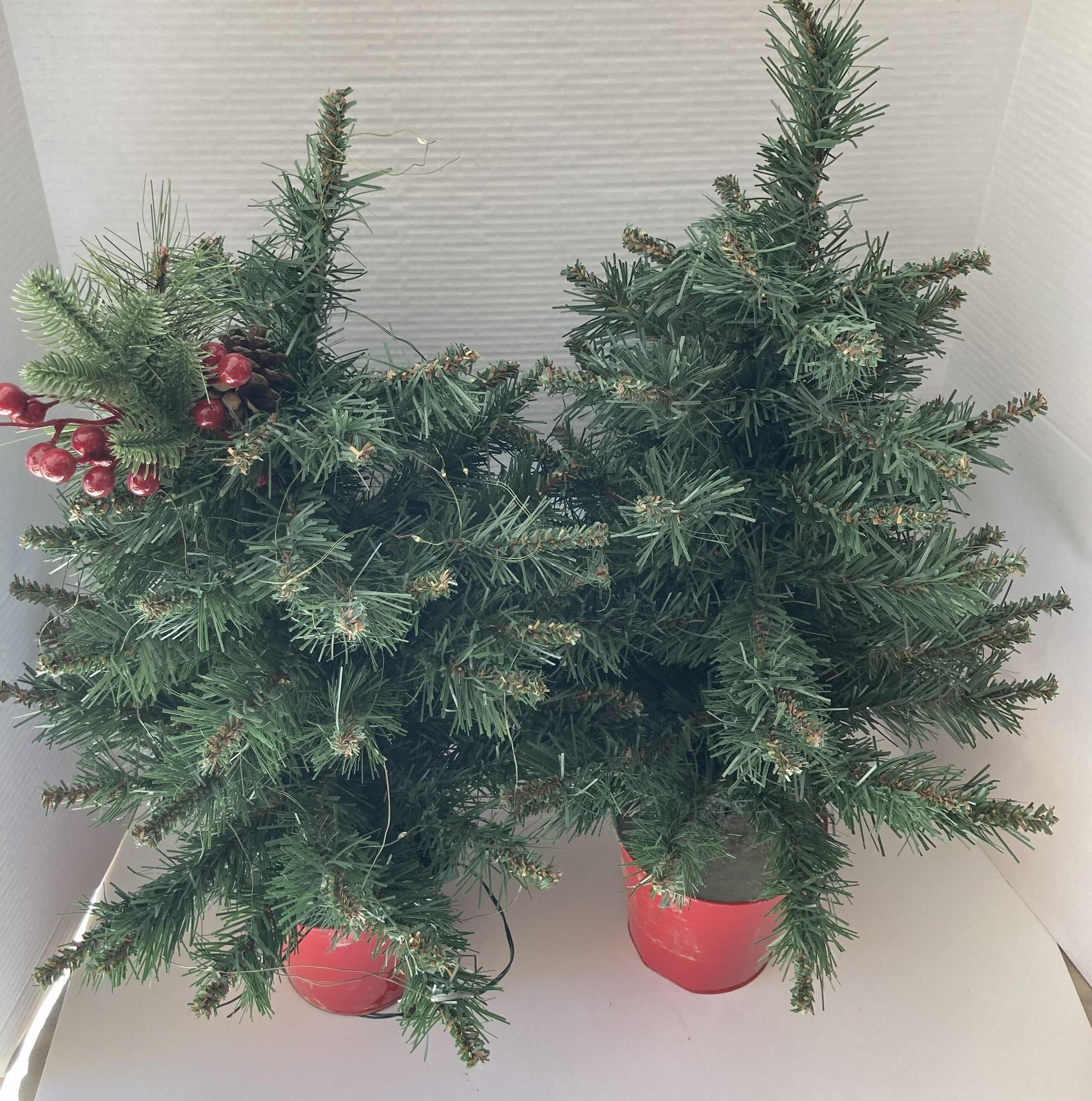 Photo 1 of MINI CHRISTMAS TREES W CEMENTED TIN POT 14” X 26”