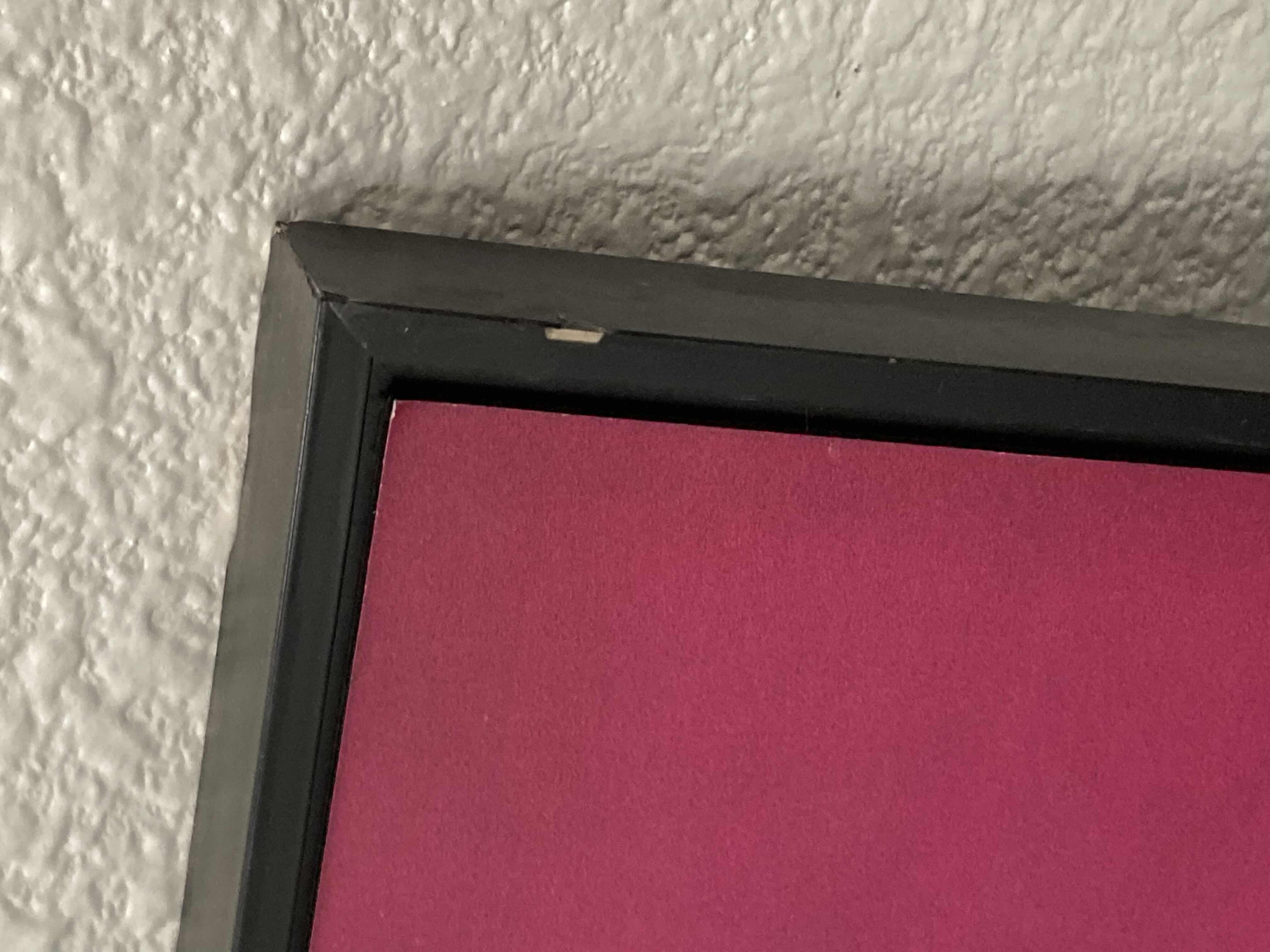 Photo 1 of POP ART DAISY FRAMED ARTWORK REPRINT BY ANDY WARHOL 33.5” X 33.5”