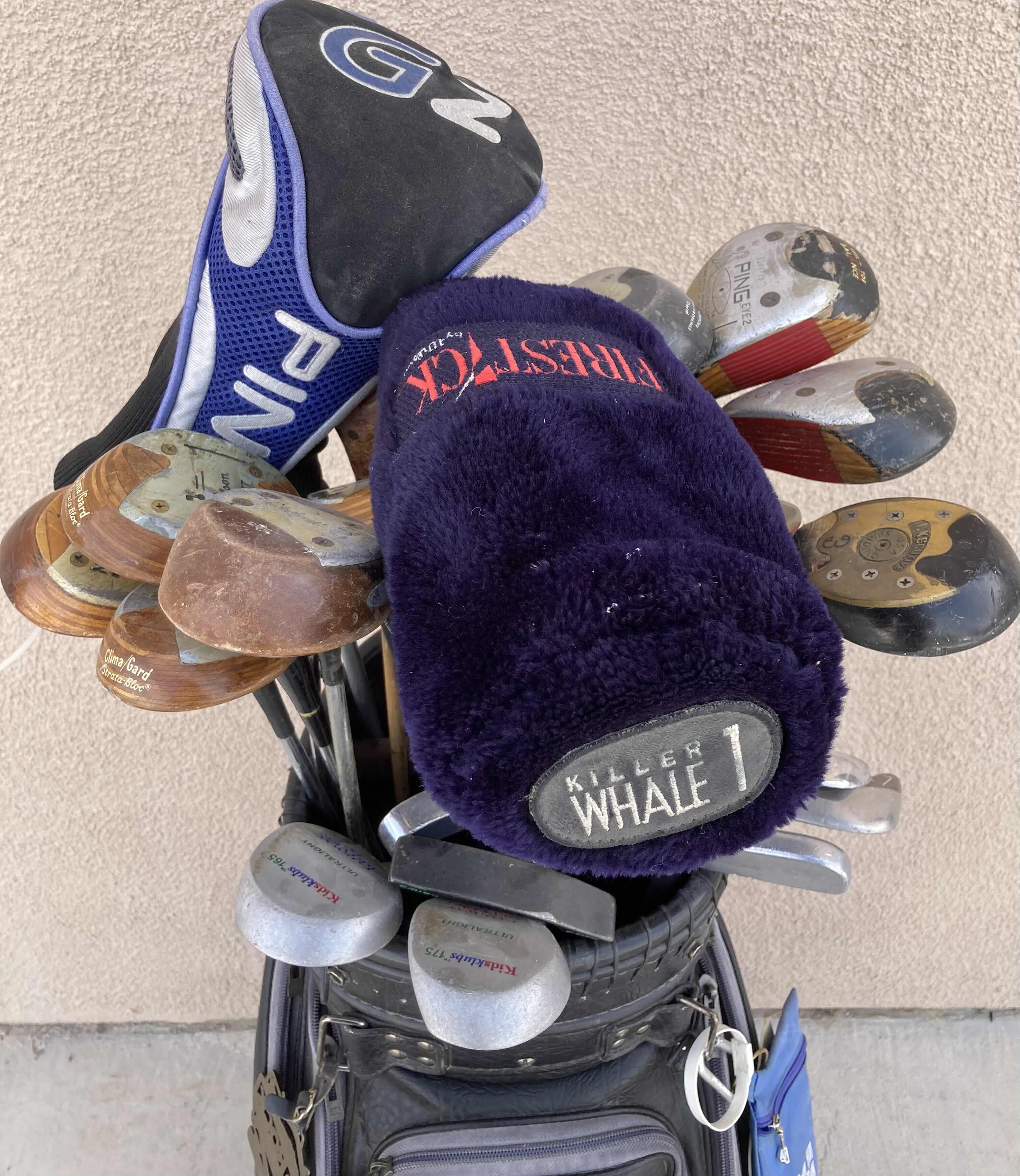 Photo 1 of THE CLUB GLOVE LEATHER GOLF BAG W MIXED GOLF CLUB SET (25 CLUBS)