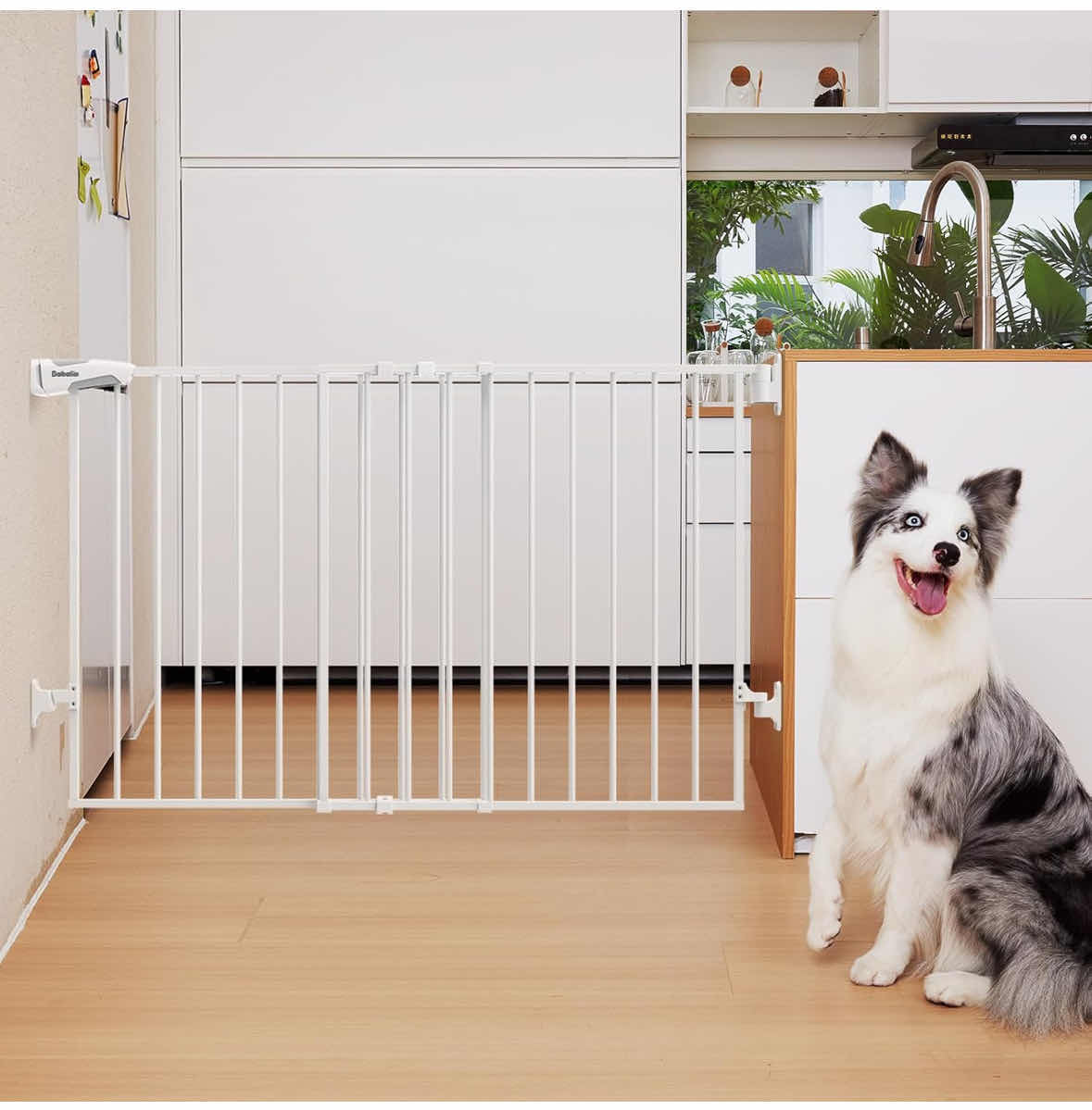 Photo 1 of NEW BABELIO EXTRA WIDE BABY GATE 31.5”-55” NO BOTTOM BAR, 2-IN-1 AUTO CLOSE DOG GATE FOR HOUSE, STAIRS & DOORWAYS W LARGE WALK-THROUGH DOOR (WHITE, MODEL #CB-M-101)