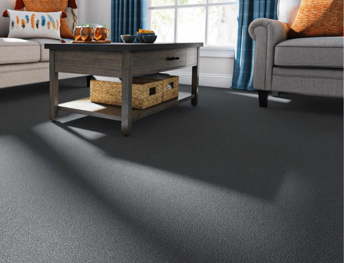 Photo 1 of SHAW CHARCOAL GRAY FINISH CARPET (12’ X 18’ APPROX. 216SQFT) READ NOTES