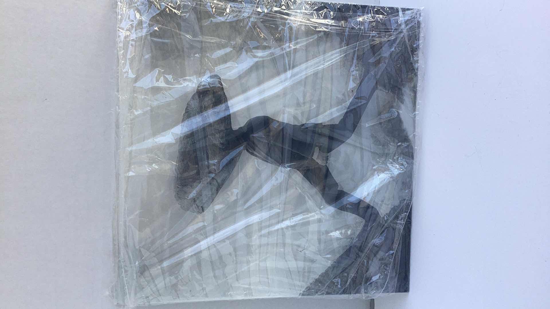 Photo 1 of EPIC ART “STUBBORN “ BY MARIO SANCHEZ 12”X 12”