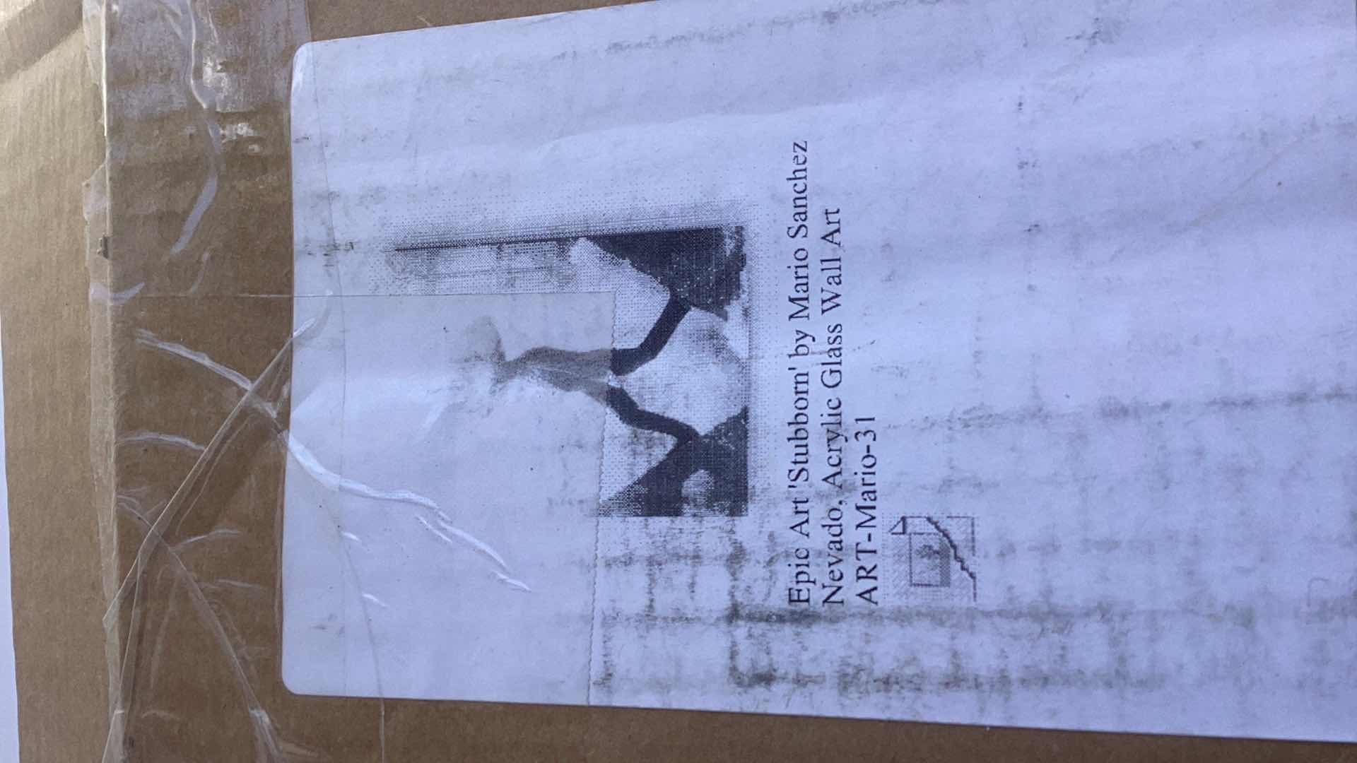 Photo 1 of EPIC ART “STUBBORN “ BY MARIO SANCHEZ 12”X 12”