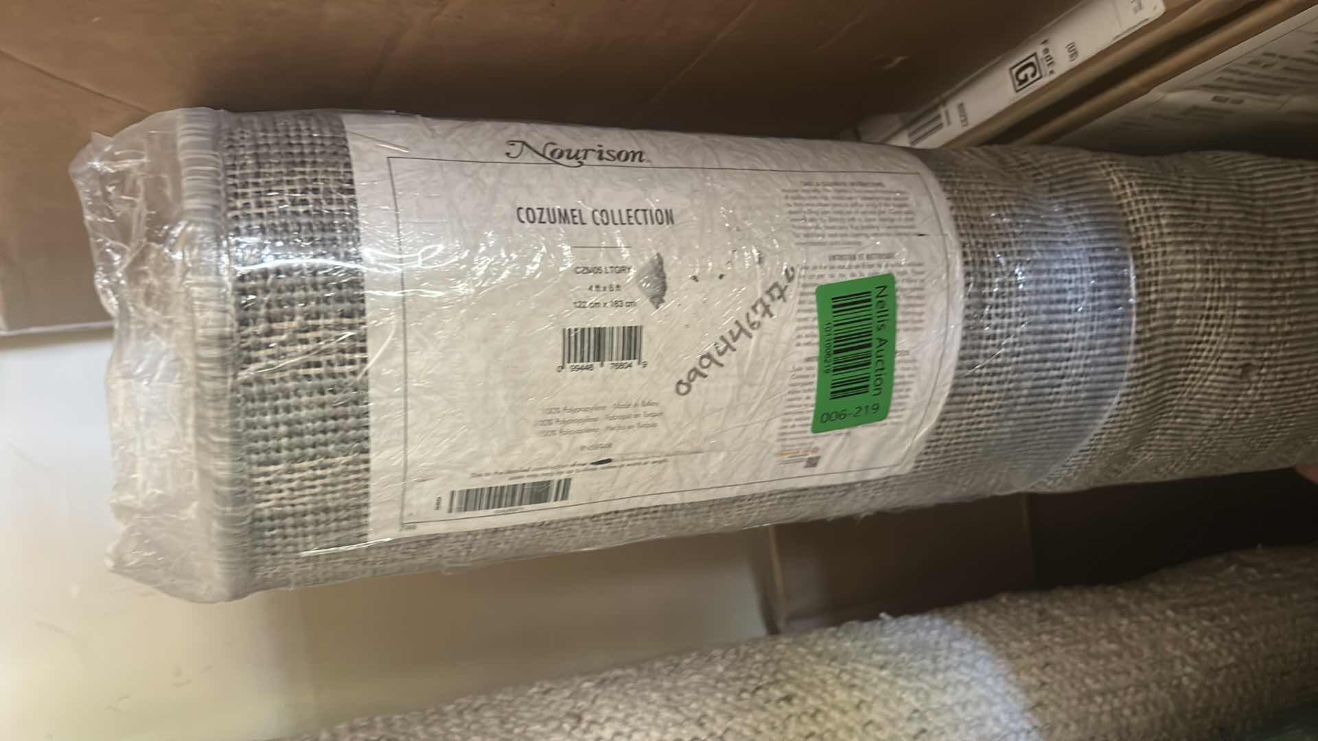 Photo 1 of NOURISON 4’x6’ AREA RUG.