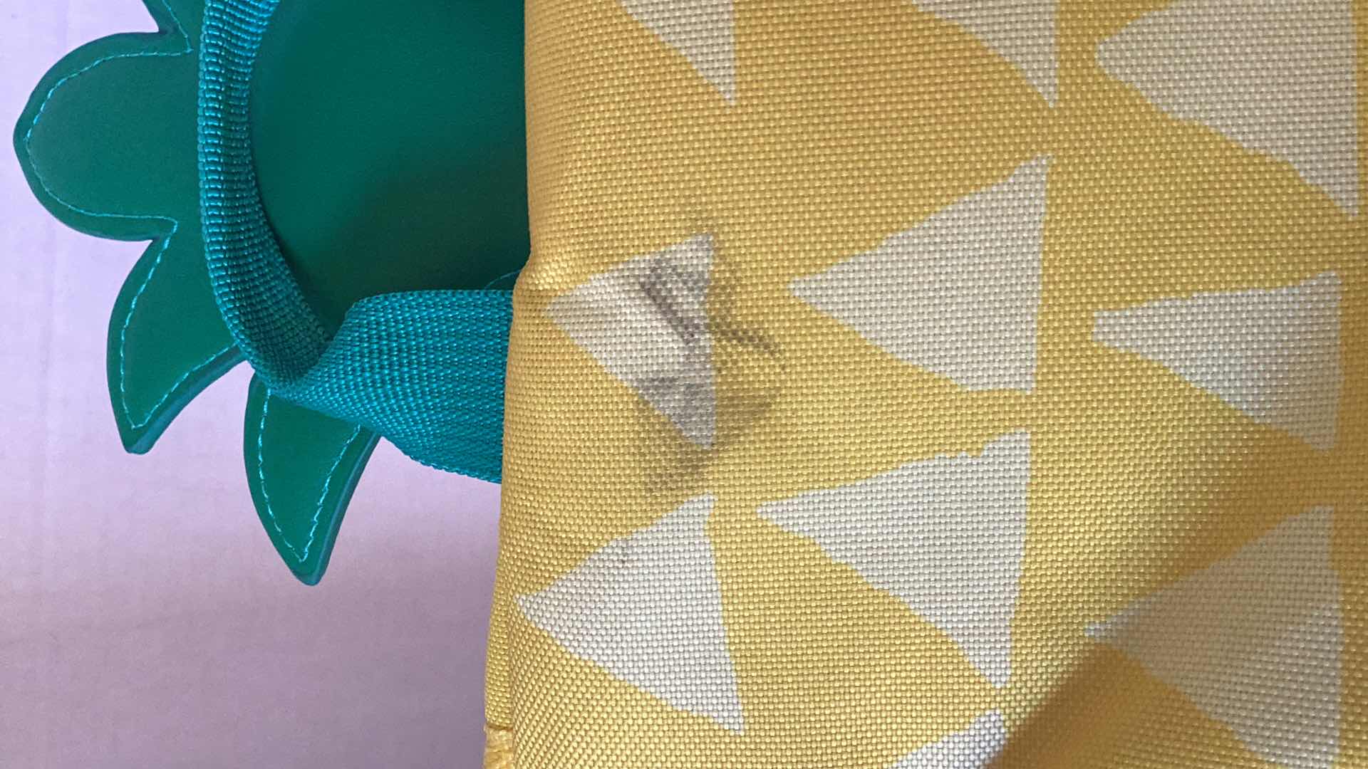 Photo 1 of 20 CAN COOLER BACKPACK