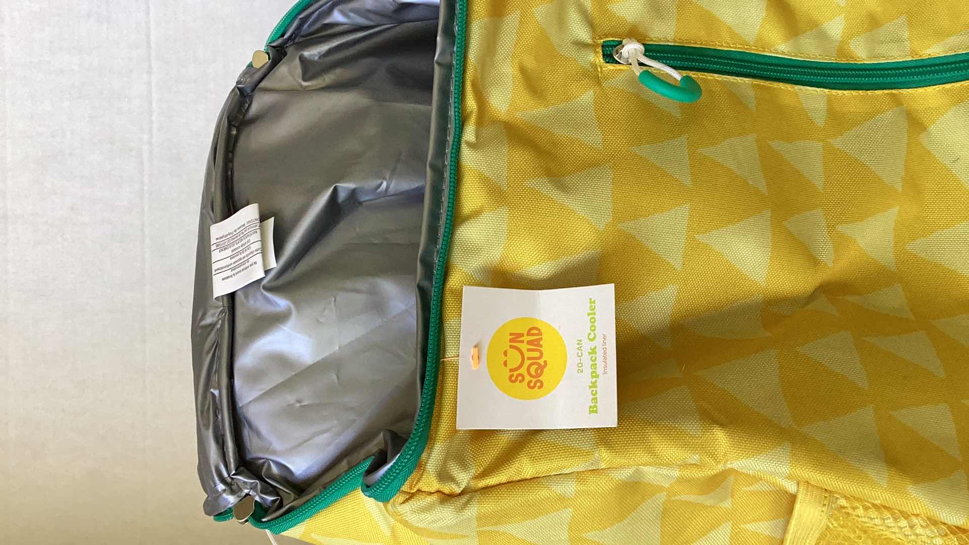 Photo 1 of 20 CAN COOLER BACKPACK