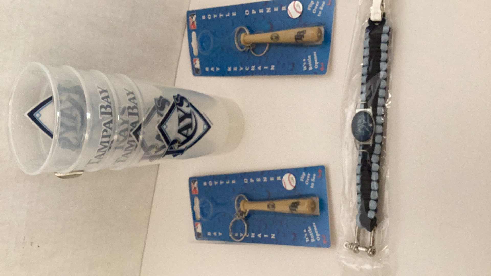 Photo 1 of BASEBALL TAMPA BAY RAYS FANPACK