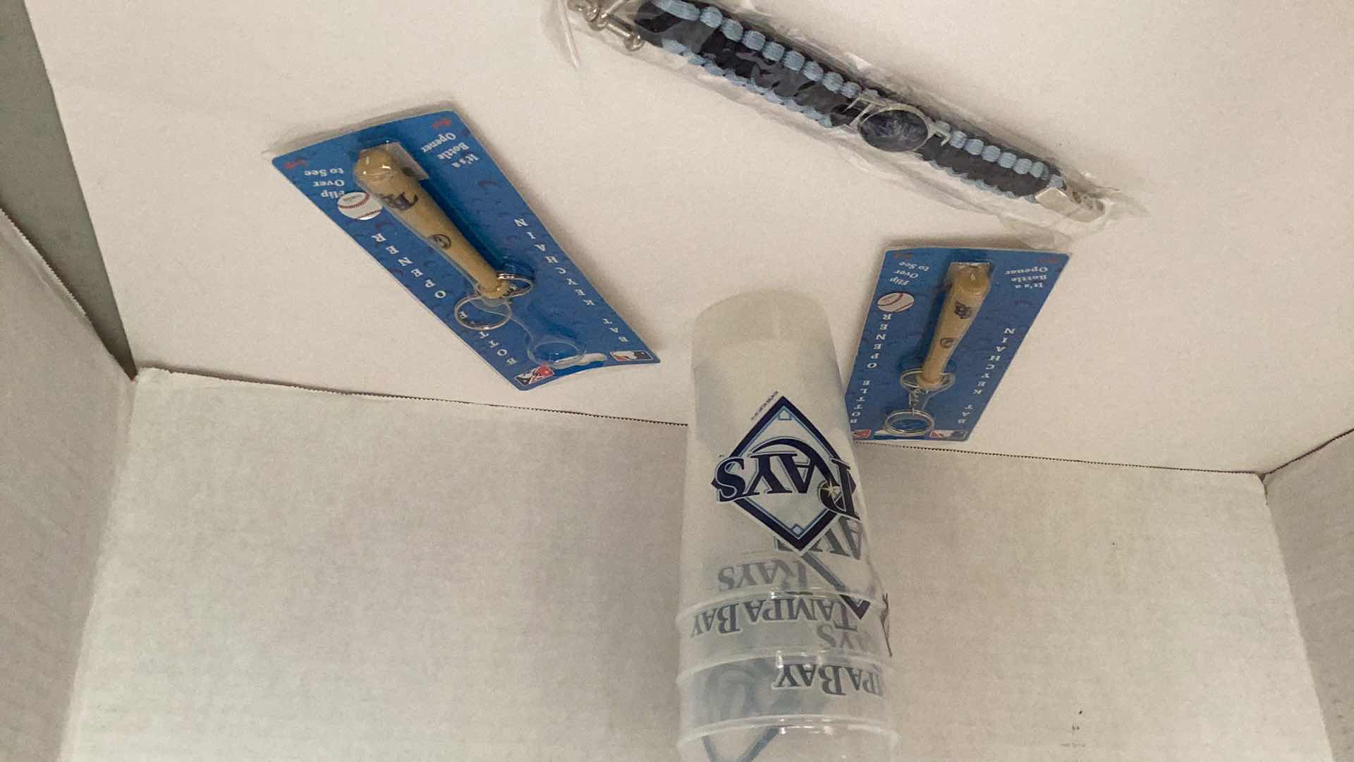 Photo 1 of BASEBALL TAMPA BAY RAYS FANPACK