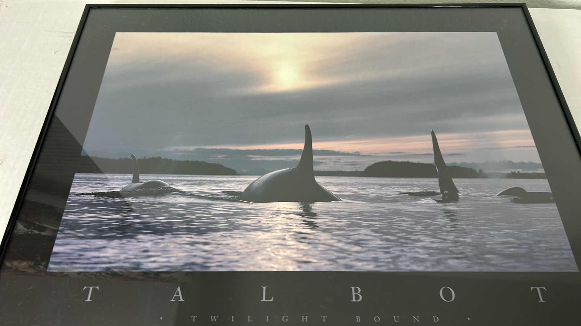 Photo 1 of TALBOT TWILIGHT BOUND WHALES FRAMED ARTWORK 24 1/2“ x 18 1/2“