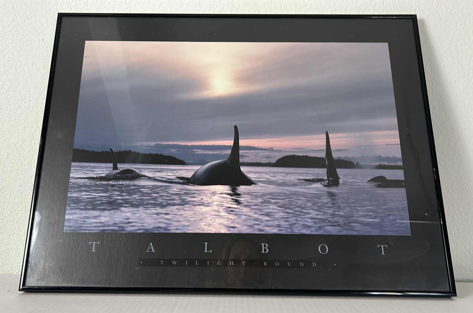 Photo 1 of TALBOT TWILIGHT BOUND WHALES FRAMED ARTWORK 24 1/2“ x 18 1/2“
