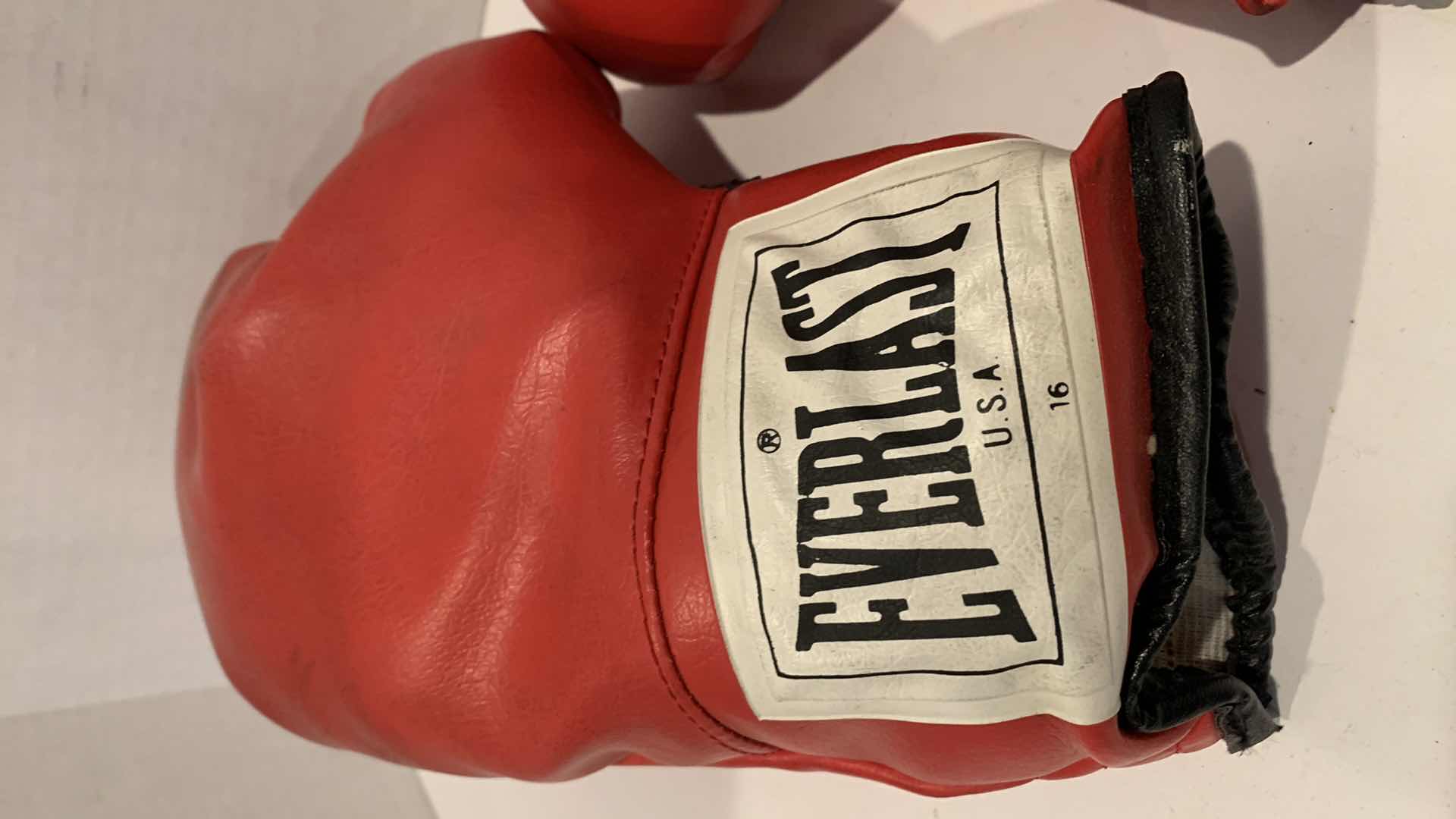 Photo 1 of PAIR OF EVERLAST BOXING GLOVES 16 OZ