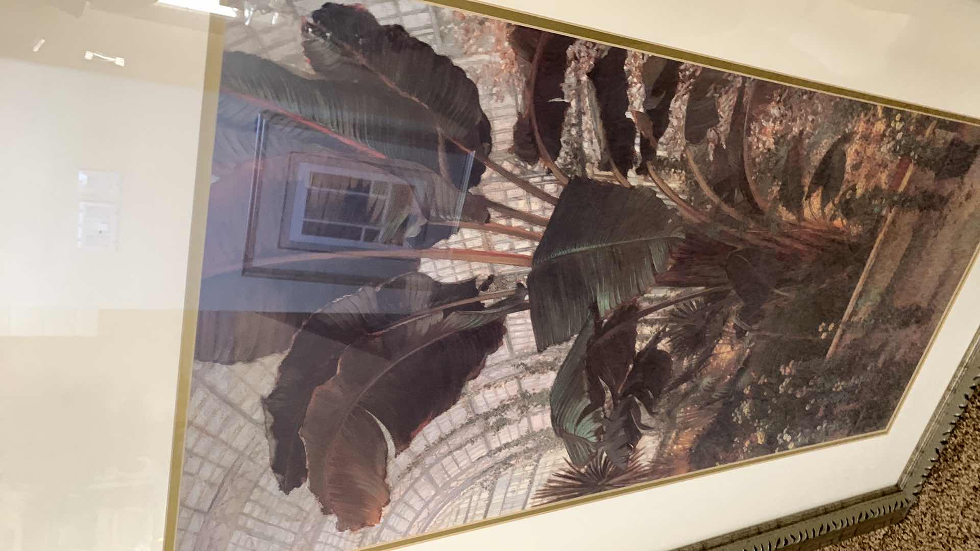 Photo 1 of “THE TROPICAL HOUSE” THOMAS GREENHALGN PRINT 31” X 50”