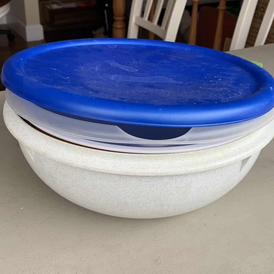 Photo 1 of 4 STACKED PLASTIC BOWELS , 2WITH LIDS