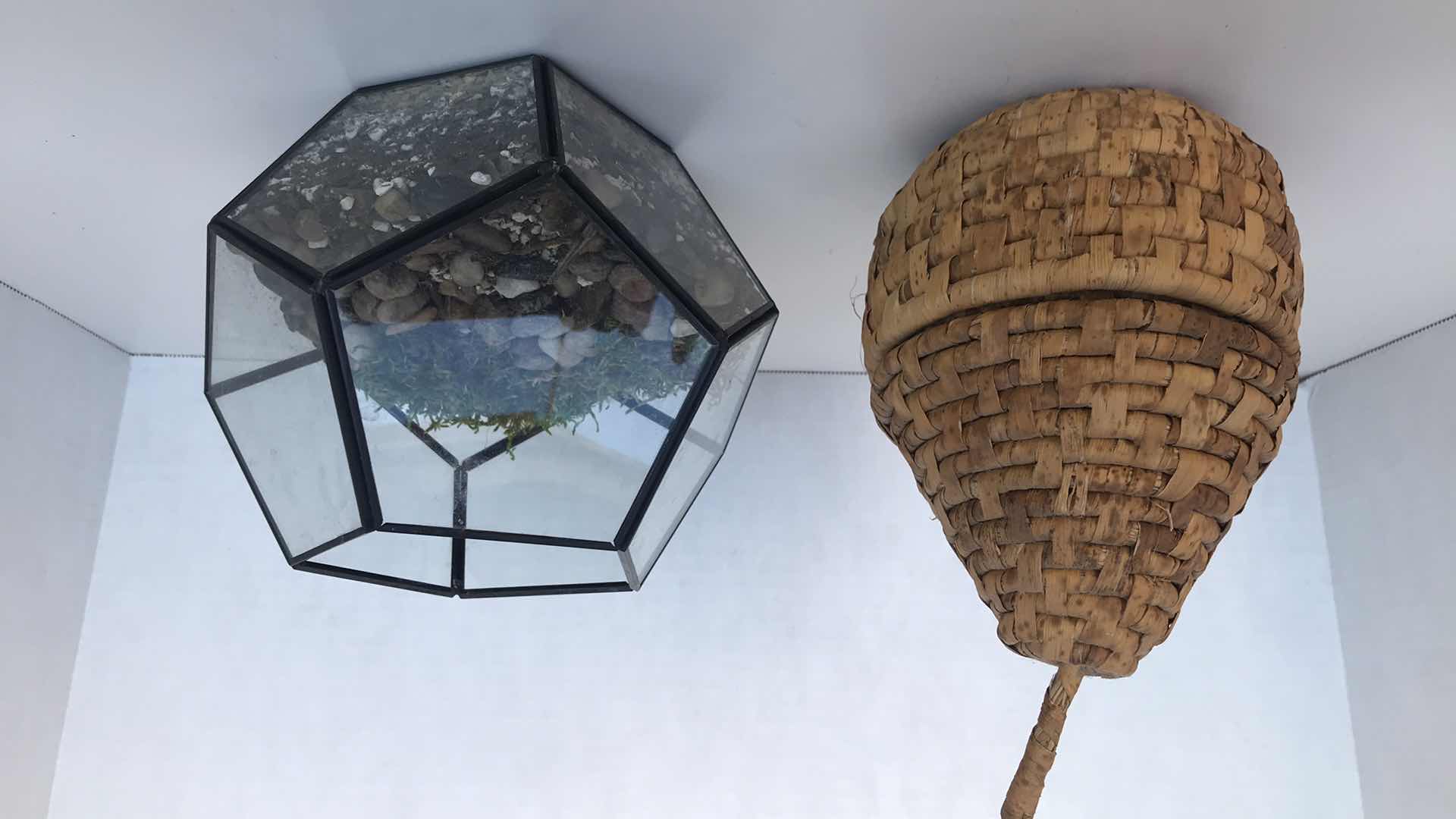 Photo 1 of PEAR SHAPE BASKET WITH LID; 6” TERRARIUM