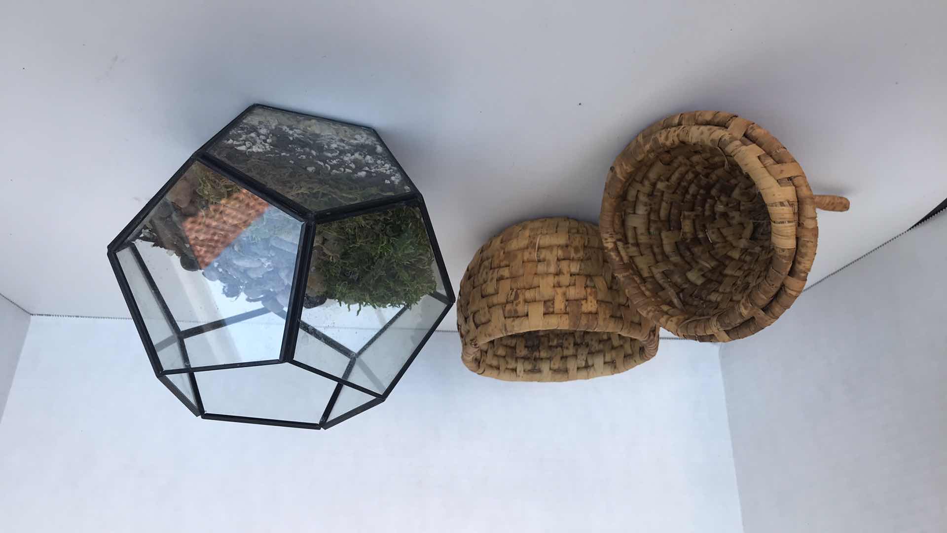 Photo 1 of PEAR SHAPE BASKET WITH LID; 6” TERRARIUM