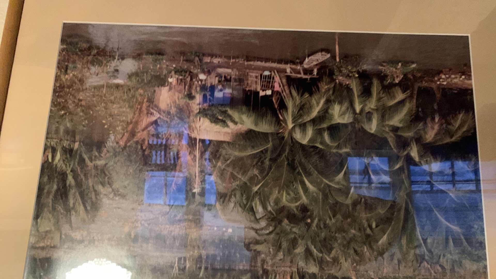Photo 1 of JUNGLE PHOTOGRAPH 25” X 37”